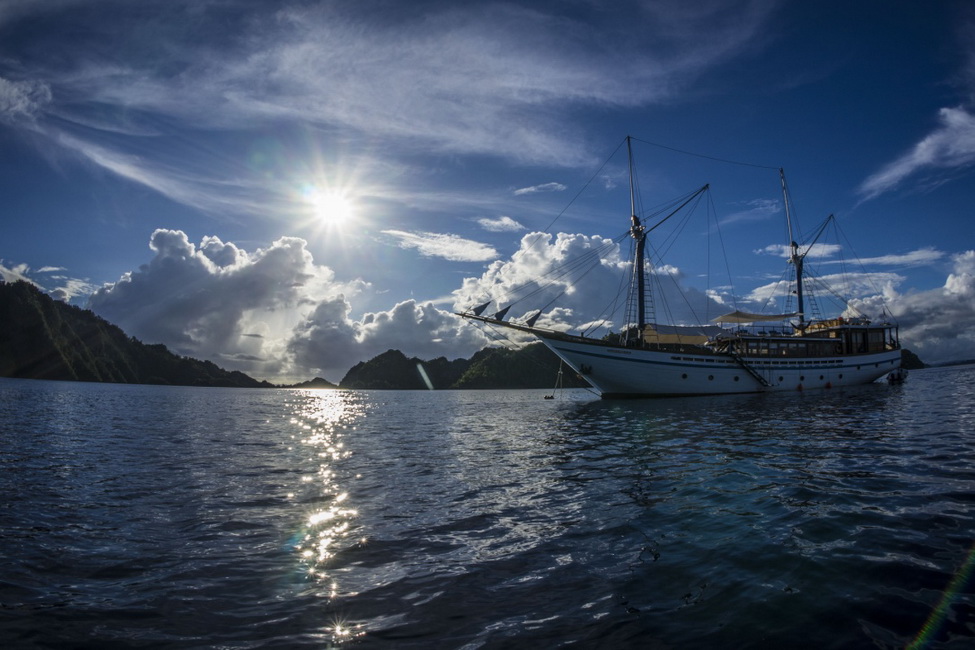 Samambaia Liveaboard 29