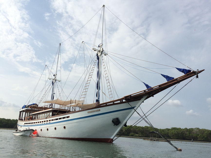 Samambaia Liveaboard 31